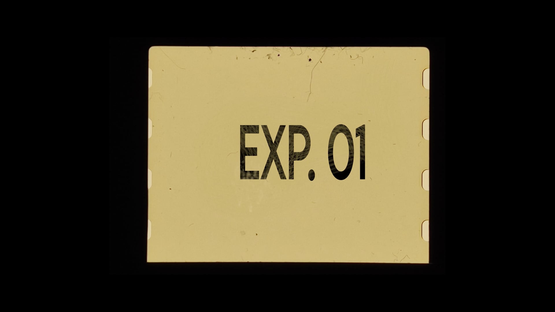 TRAILER_EXP.01
