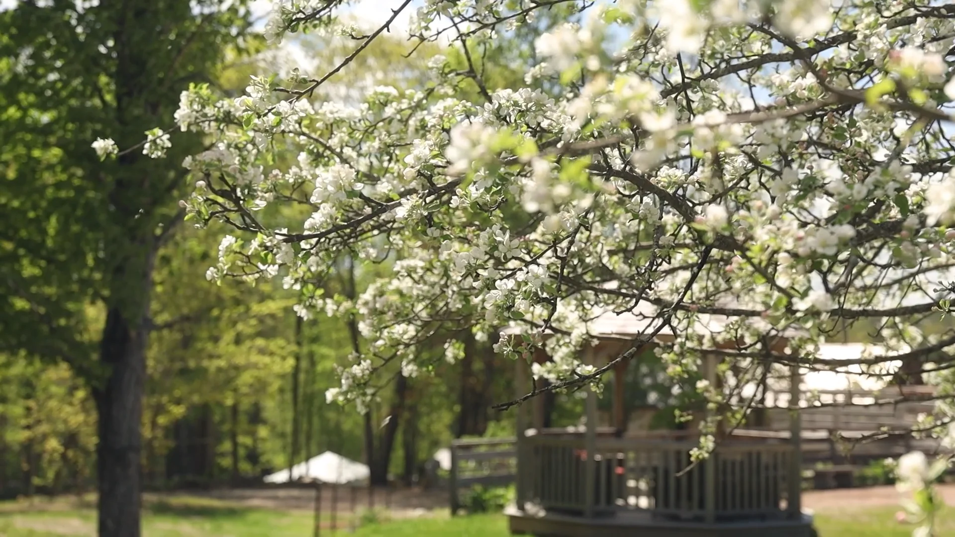 Spring Video Final Edit 9-21-23.mp4 on Vimeo