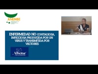 EHE en ganado bovino de carne