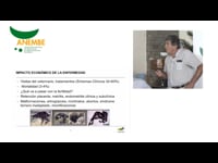 EHE: Enfoque epidemiológico