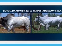 Lote 02E