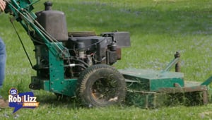 When Should You Stop Mowing Lawn