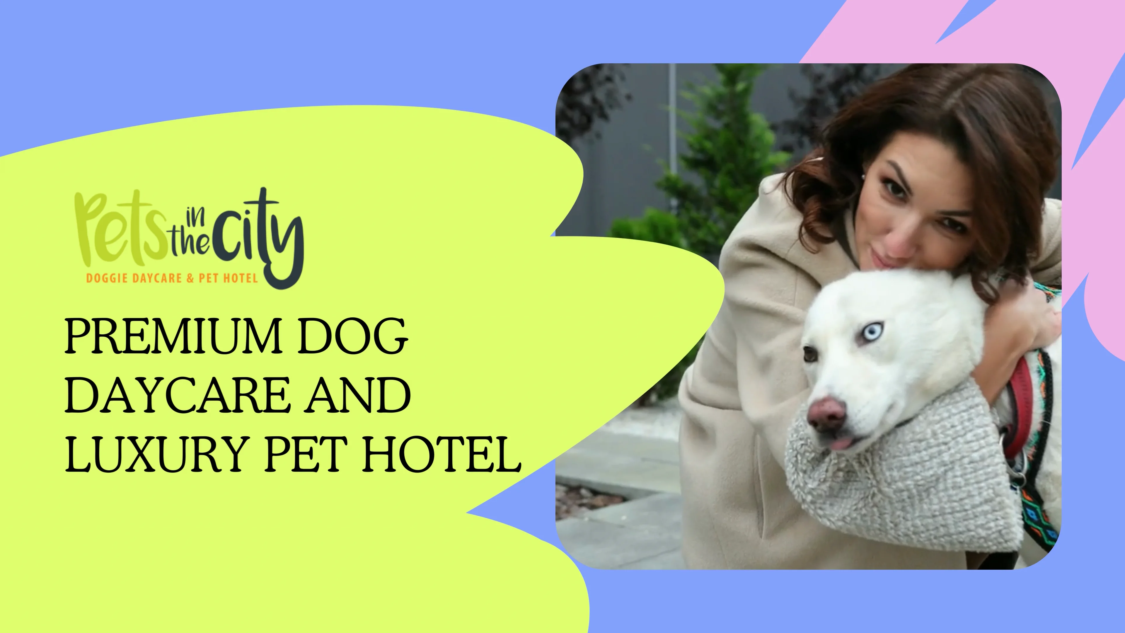 Auckland's Top Dog Training Classes on Vimeo