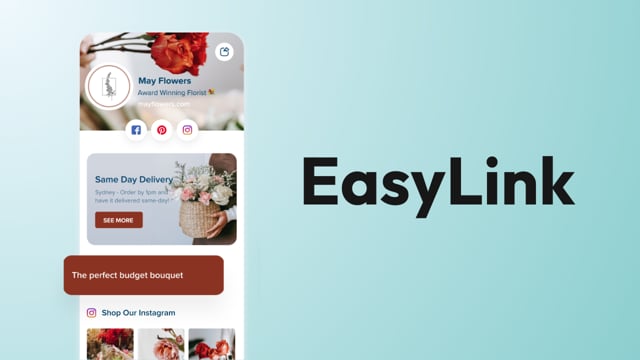 2. EasyLink (see next section to cover in more detail)-2x (1)