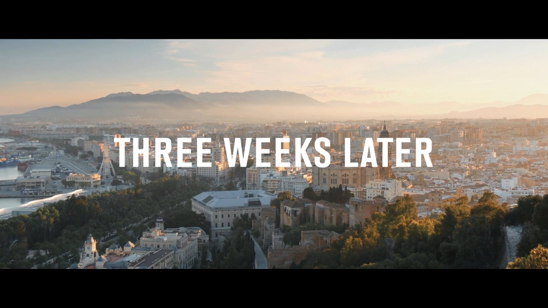 PIERA RODRIGUEZ | NEXT LEVEL