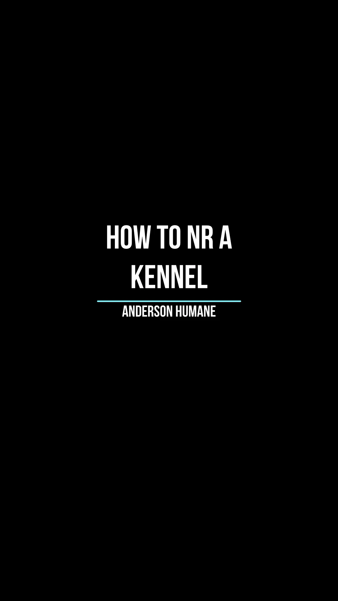 how-to-rescue-a-dog-kennel-on-vimeo