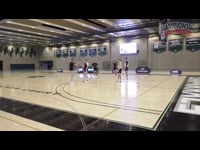 Preview Video #1