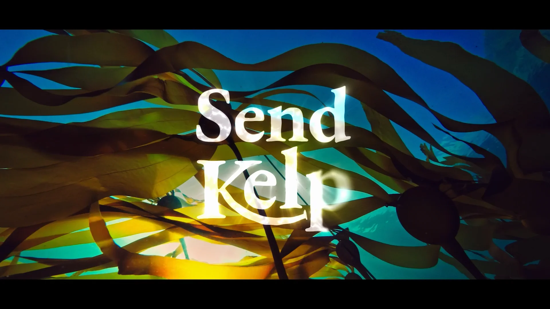 SEND KELP! Trailer