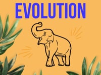 Elephant Evolution.mp4