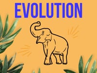 Elephant Evolution.mp4