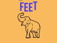 Elephant Feet.mp4