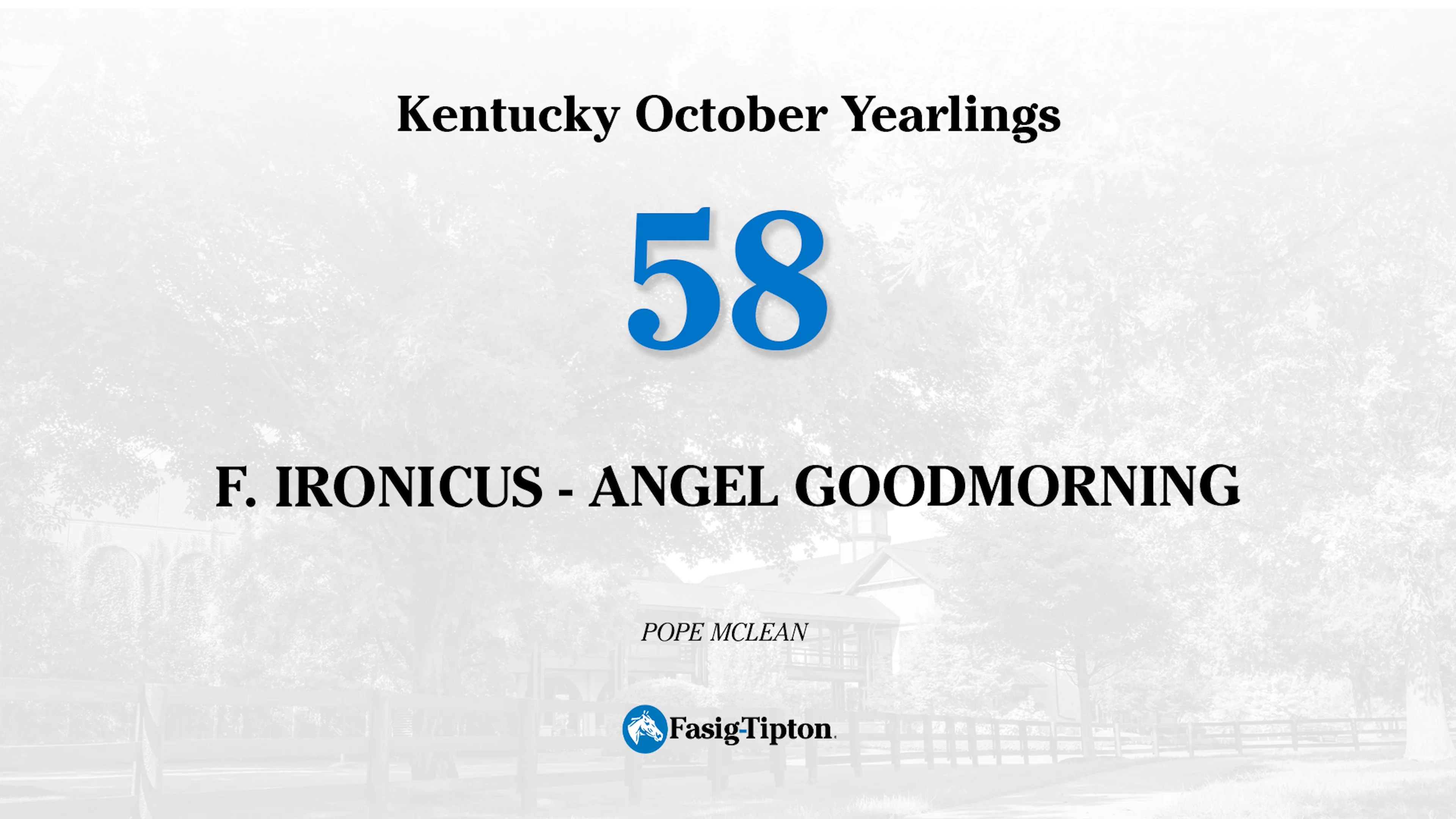 ftkoct23-58-angel-goodmorning-22