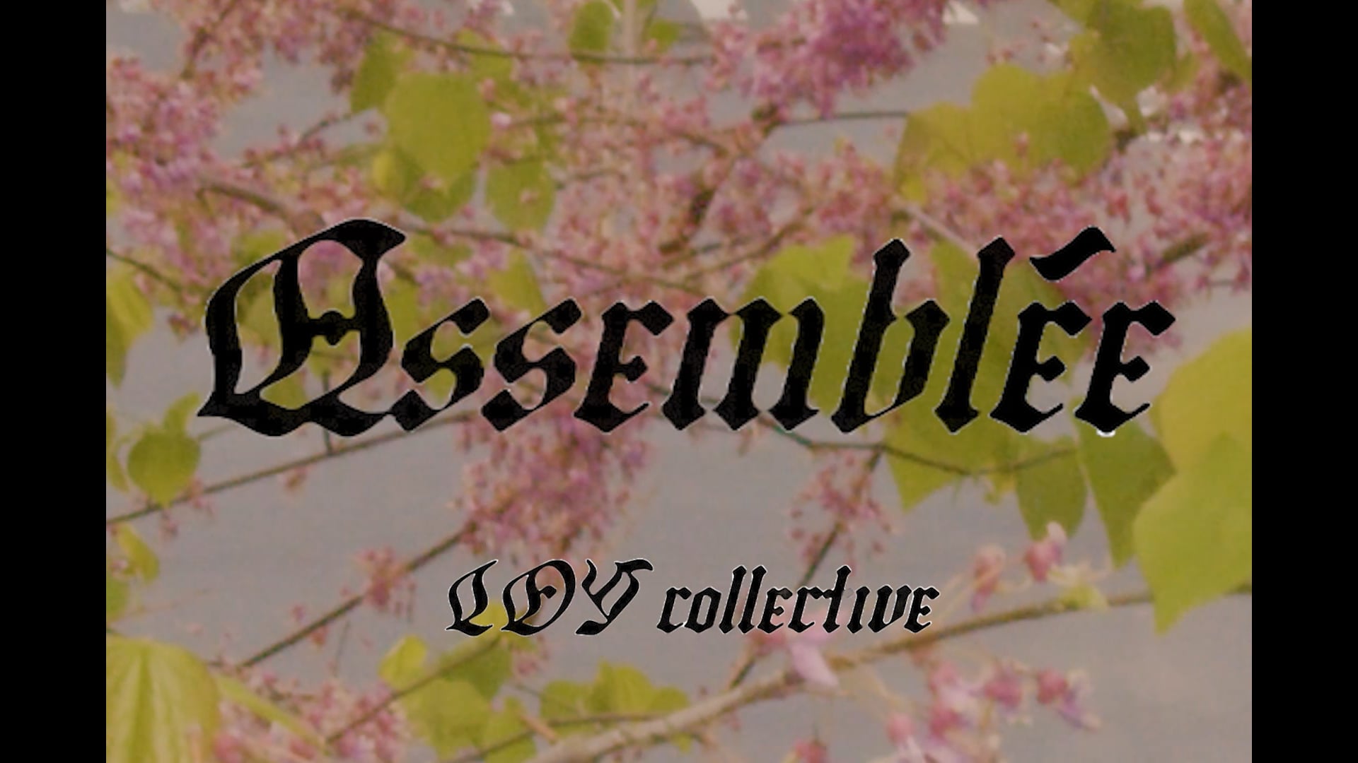 ASSEMBLEE SHORT FILM