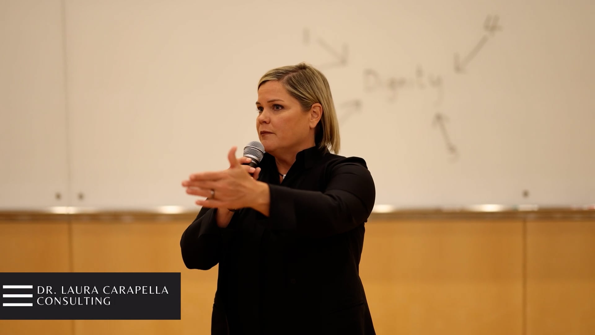 Promotional video thumbnail 1 for Carapella Consulting
