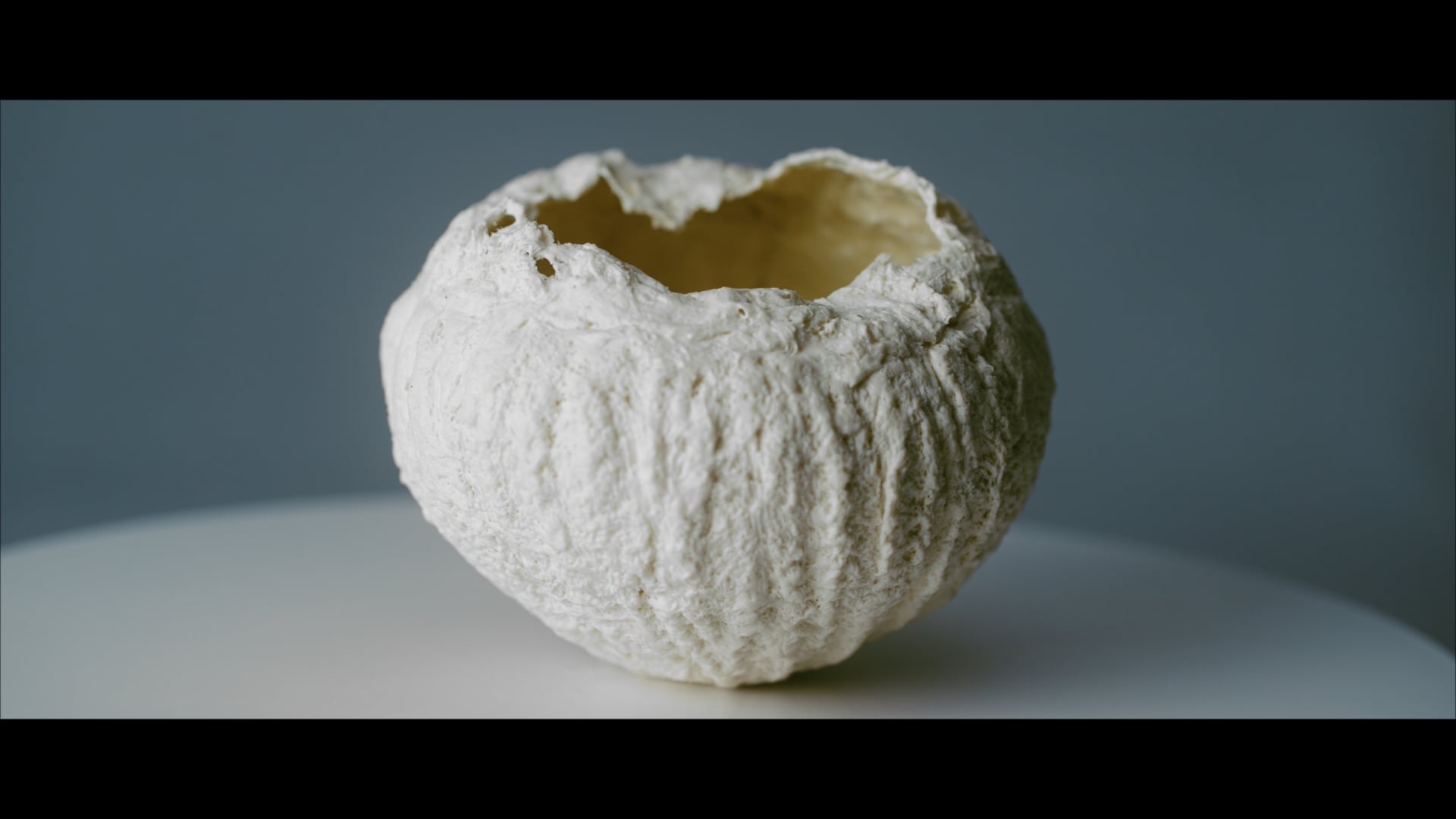 PASCALE MASERA_Nids de porcelaine ou "Habitat solidaire ou/et soli-terre
