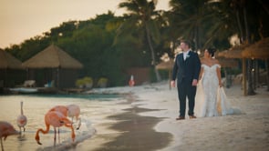 Dreamy Aruba Destination Wedding | Renaissance Island Wedding Film | Oranjestad, Aruba