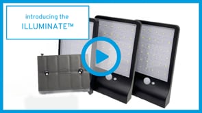Illuminate™ | Outdoor Solar Lights