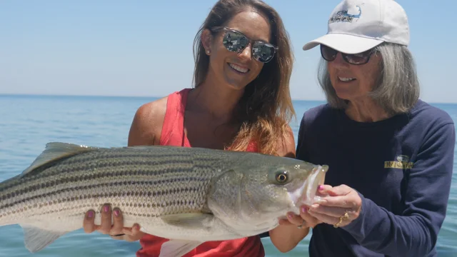 Cape Cod Summer Fishing: Your Guide to Catching Striped Bass, Bluefish and  Bluefin Tuna With A Charter Captain - Ortus Charters