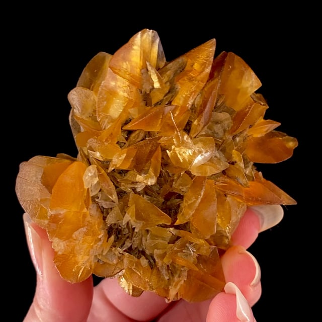 Gypsum (classic ''floater'' specimen)