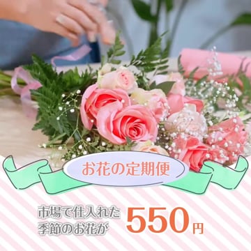 【サービス案内動画】花屋・フラワーショップ お花の定期便の期間限定キャンペーン動画（サンプル）