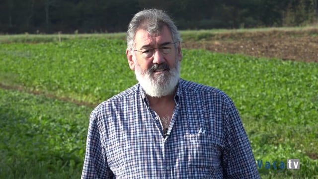 Waldino Chicharro, de Semillas Wam, explica la evolución de esta productora de semillas gallega