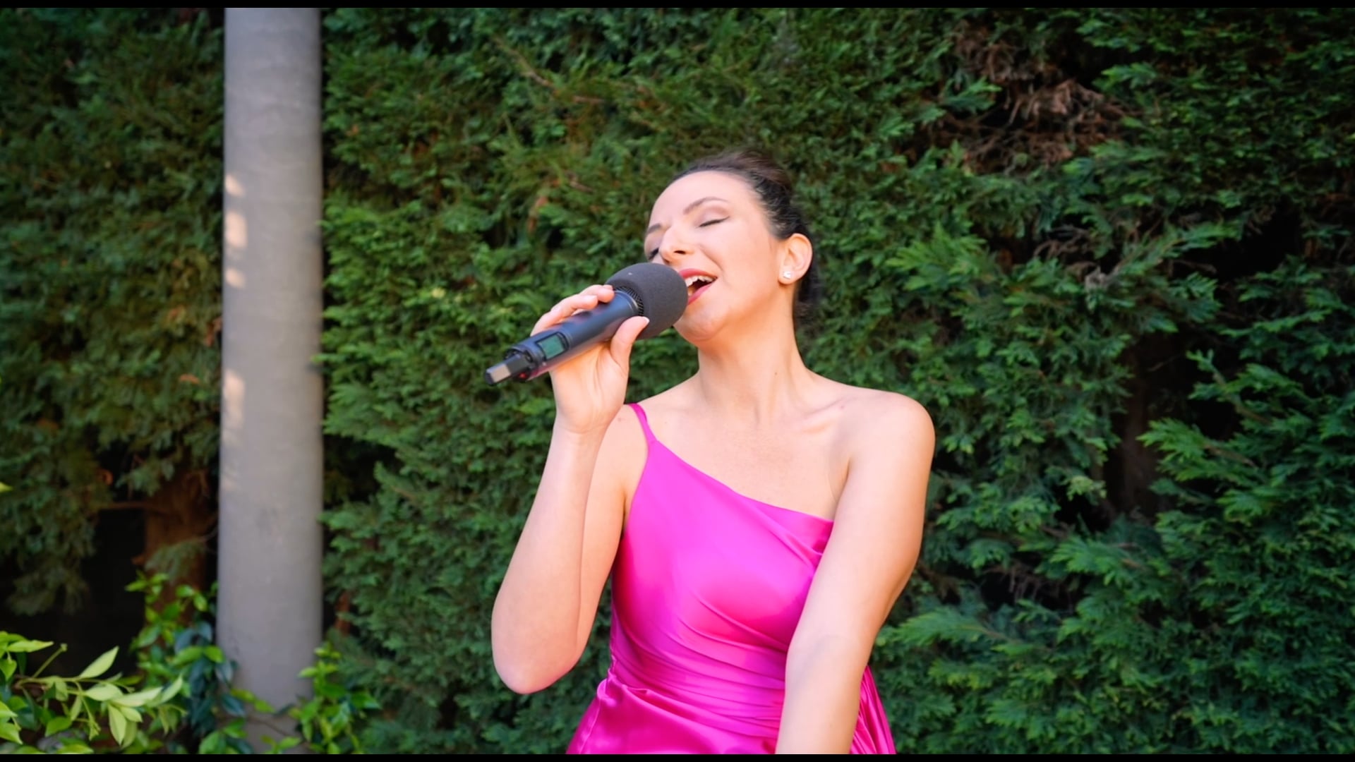 WEDDING DJ, VOCALS + MC