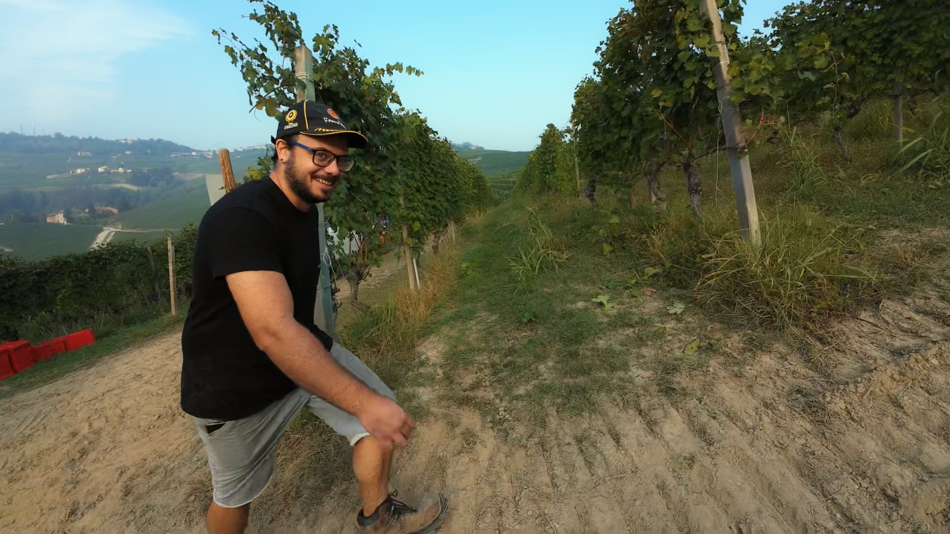 Vendemmia 2023 - Harvest 2023