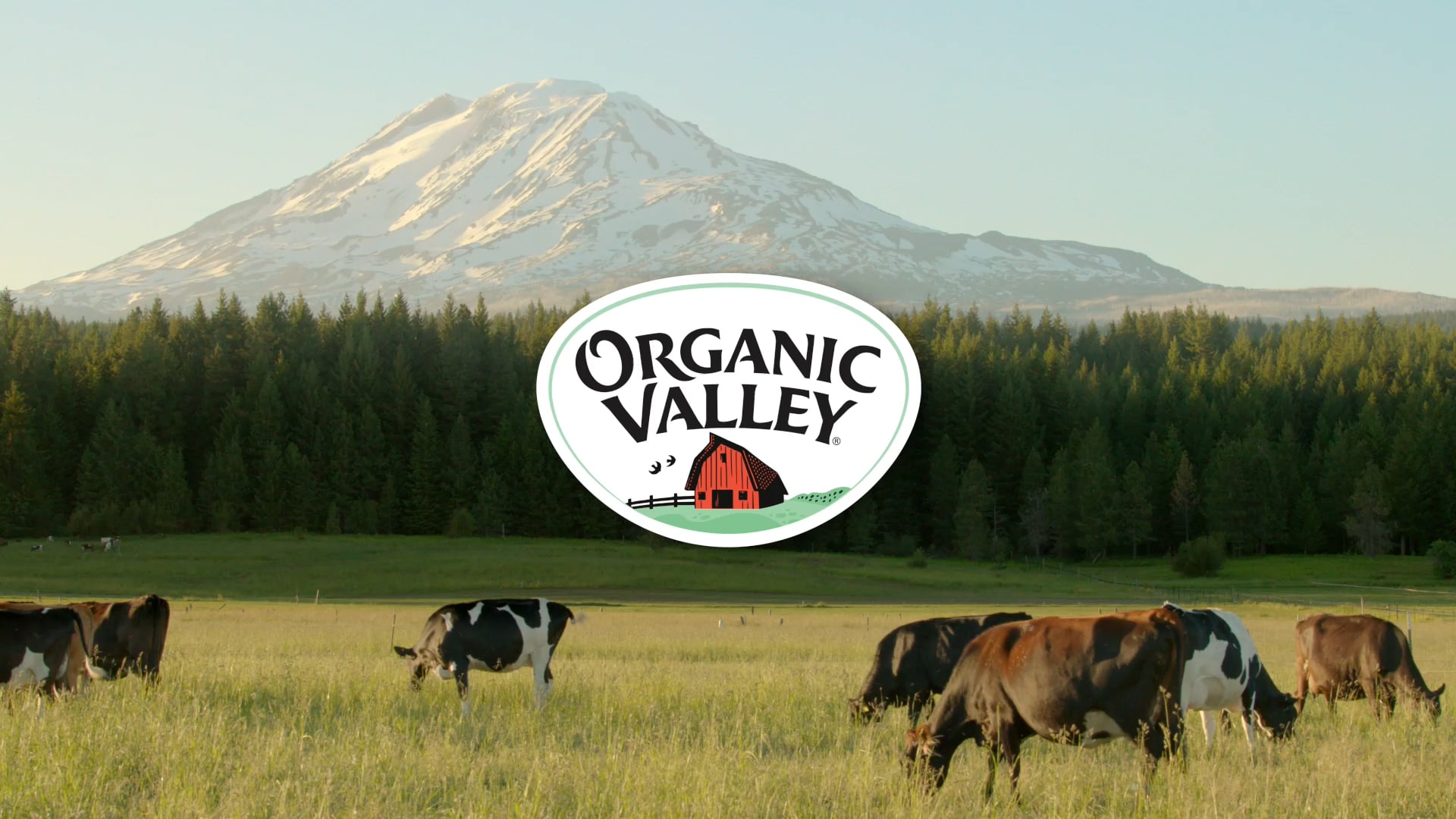 Organic Valley 30 SEC. TV