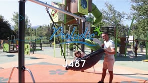 Vogelnest J487 speeltoestellen klassieke spelen schommels filmpje