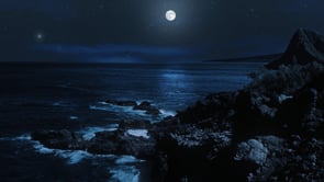 social header