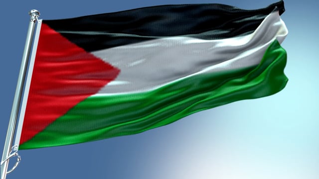 480+ Bandera Palestina Vídeos de stock y películas libres de