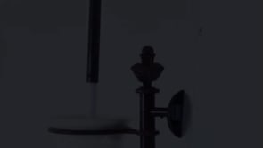 imm