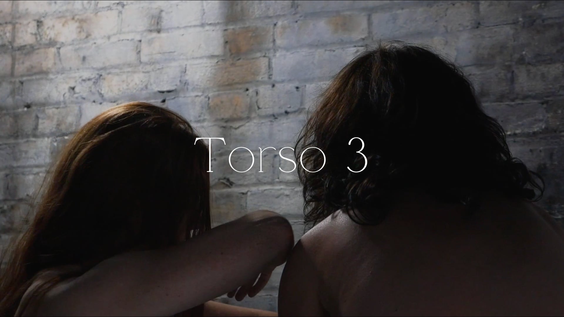 TORSO 3