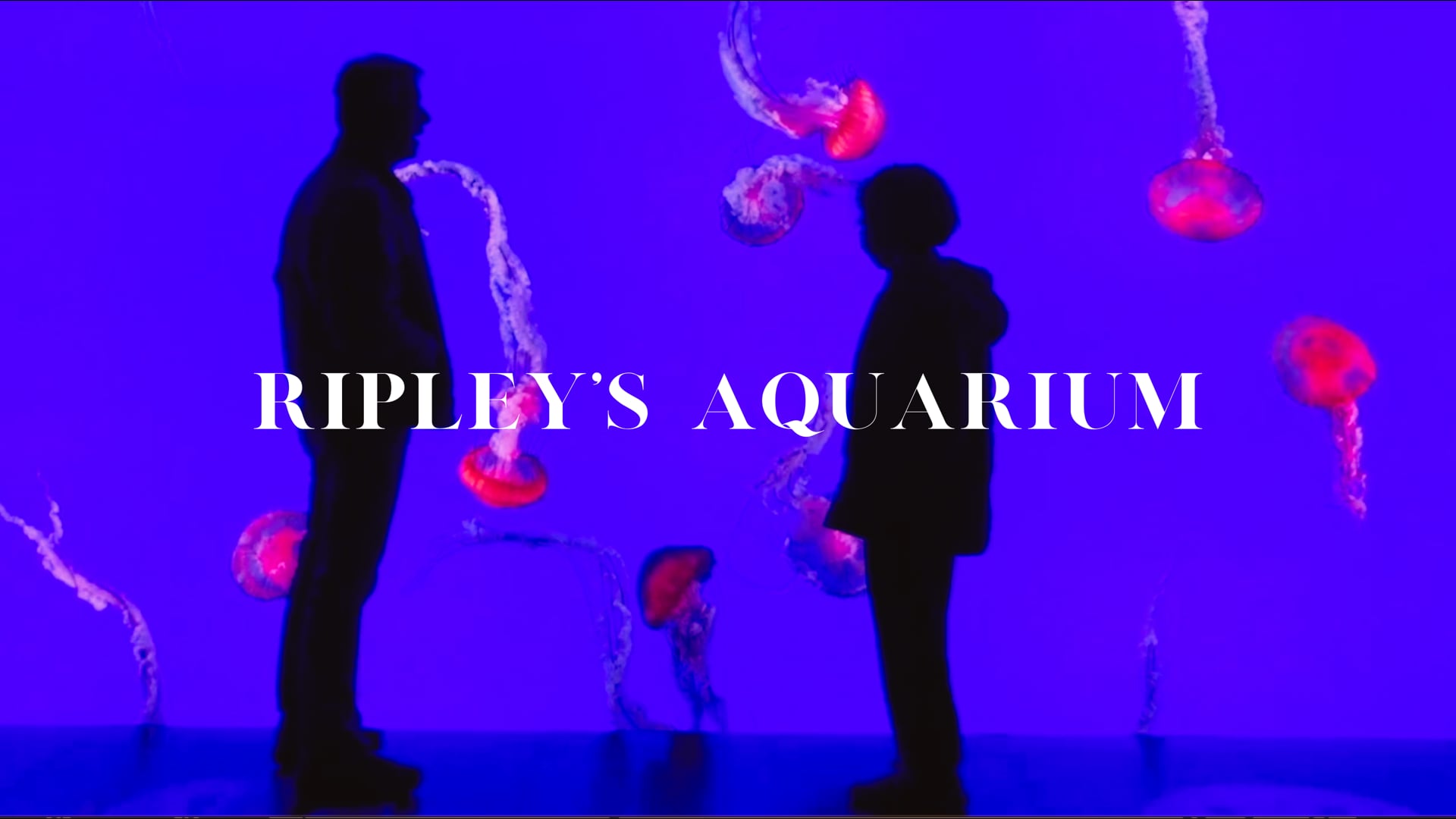RIPLEY'S AQUARIUM
