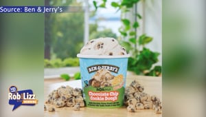Plant Based Ben and Jerry's