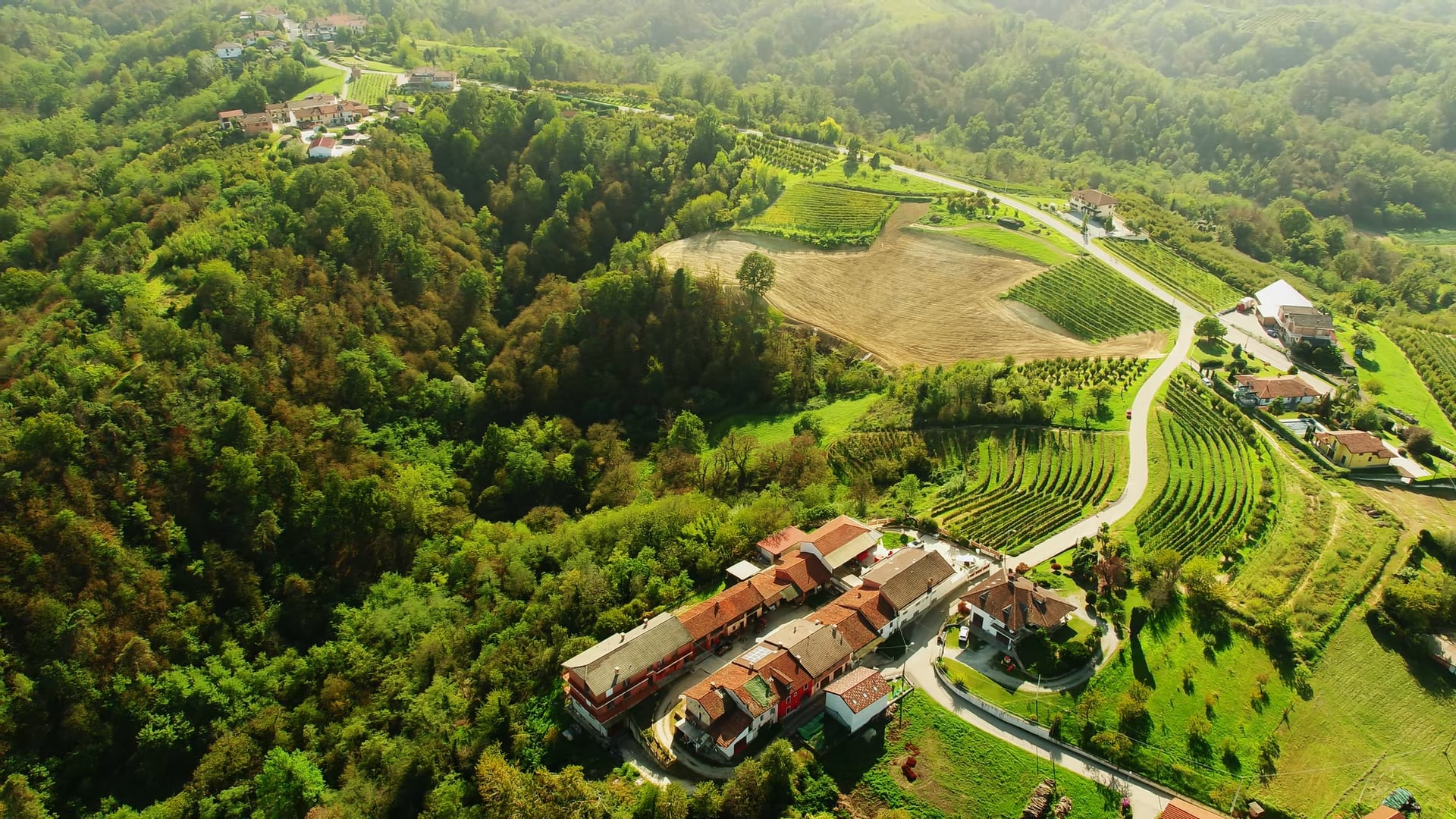 I nostri vigneti - Our vineyards