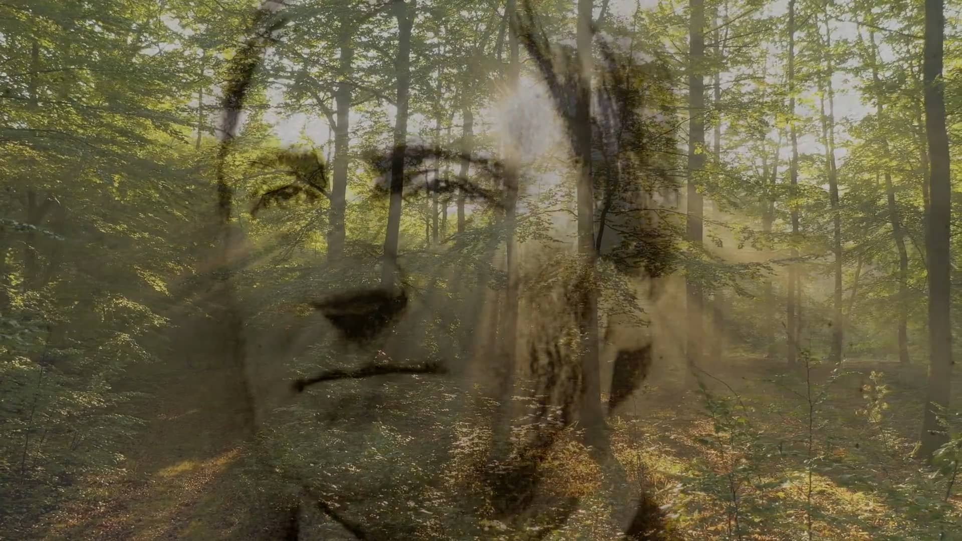 ralph-waldo-emerson-give-all-to-love-on-vimeo