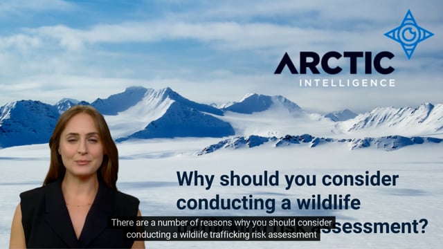 Why Conduct A Wildlife Trafficking Risk Assessment?
