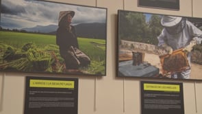 Les conseqüències del canvi climàtic es posen al descobert en la nova exposició del MASLE