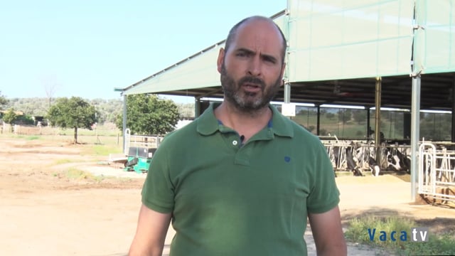 “Puedes producir y ganar más teniendo menos animales, pero mejor llevados”