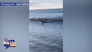 Fisherman Rescues the Deer
