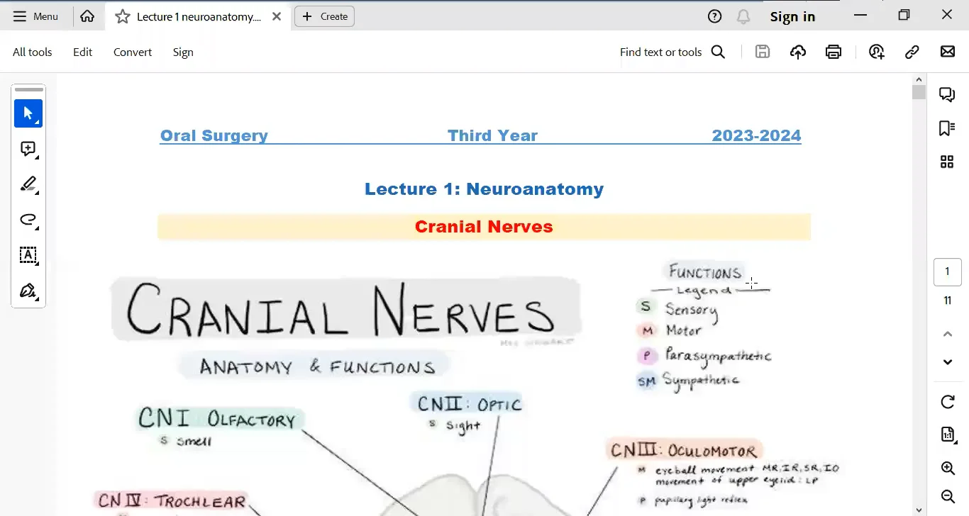 Lec 1 Neuroanatomy on Vimeo