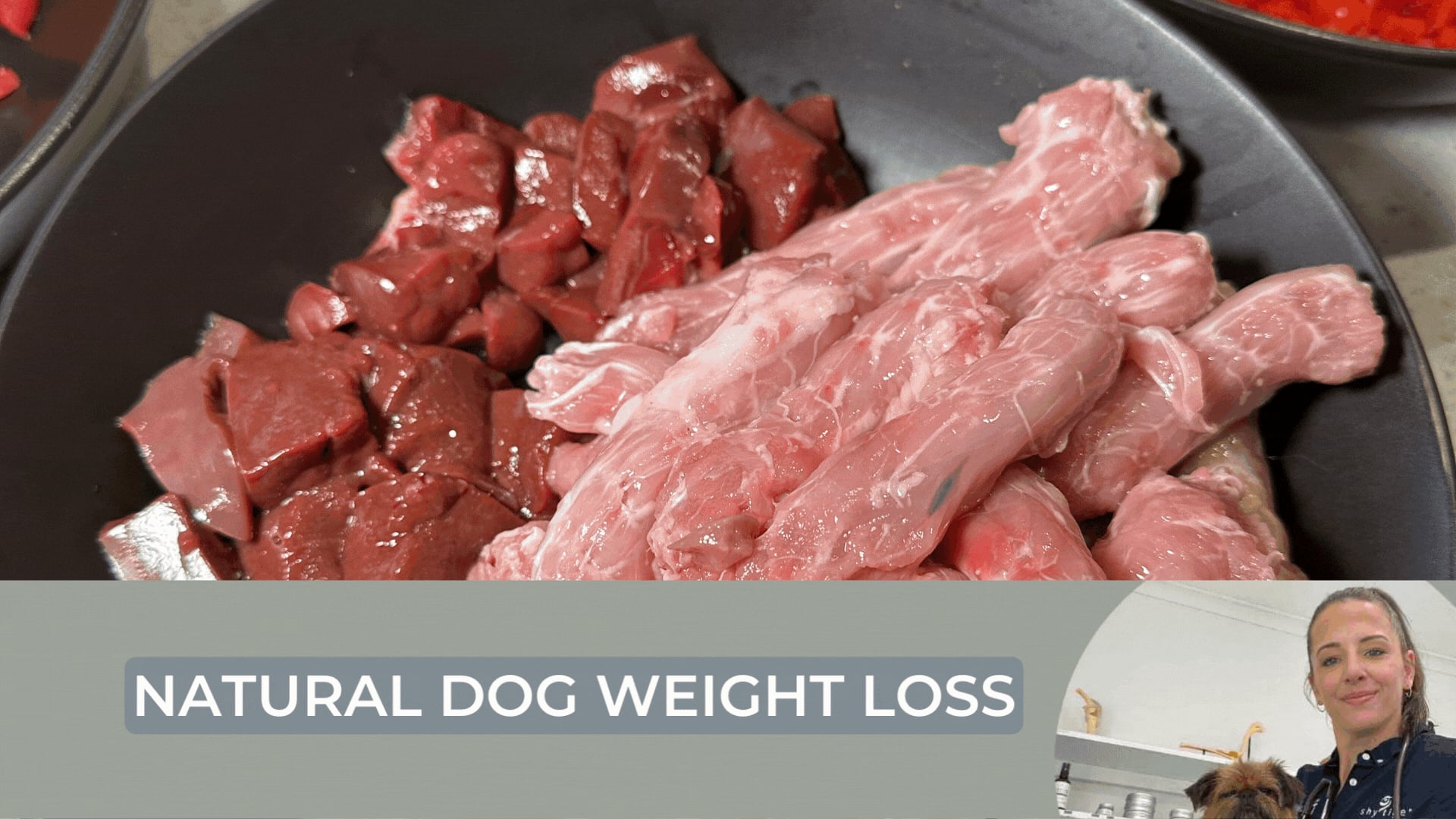 Tackling The Weighty Issue: A Natural Recipe for Your Overweight Dog