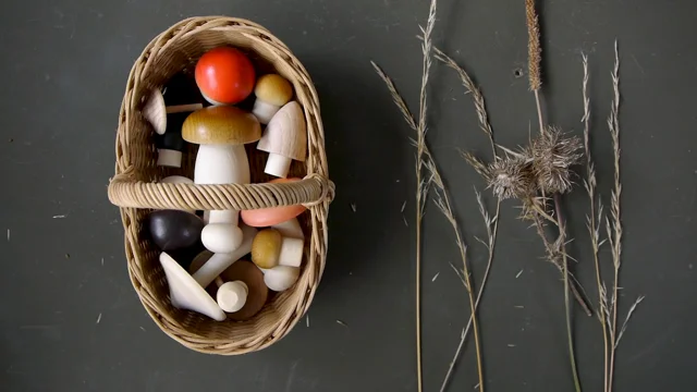 Forest Mushrooms Basket by Moon Picnic