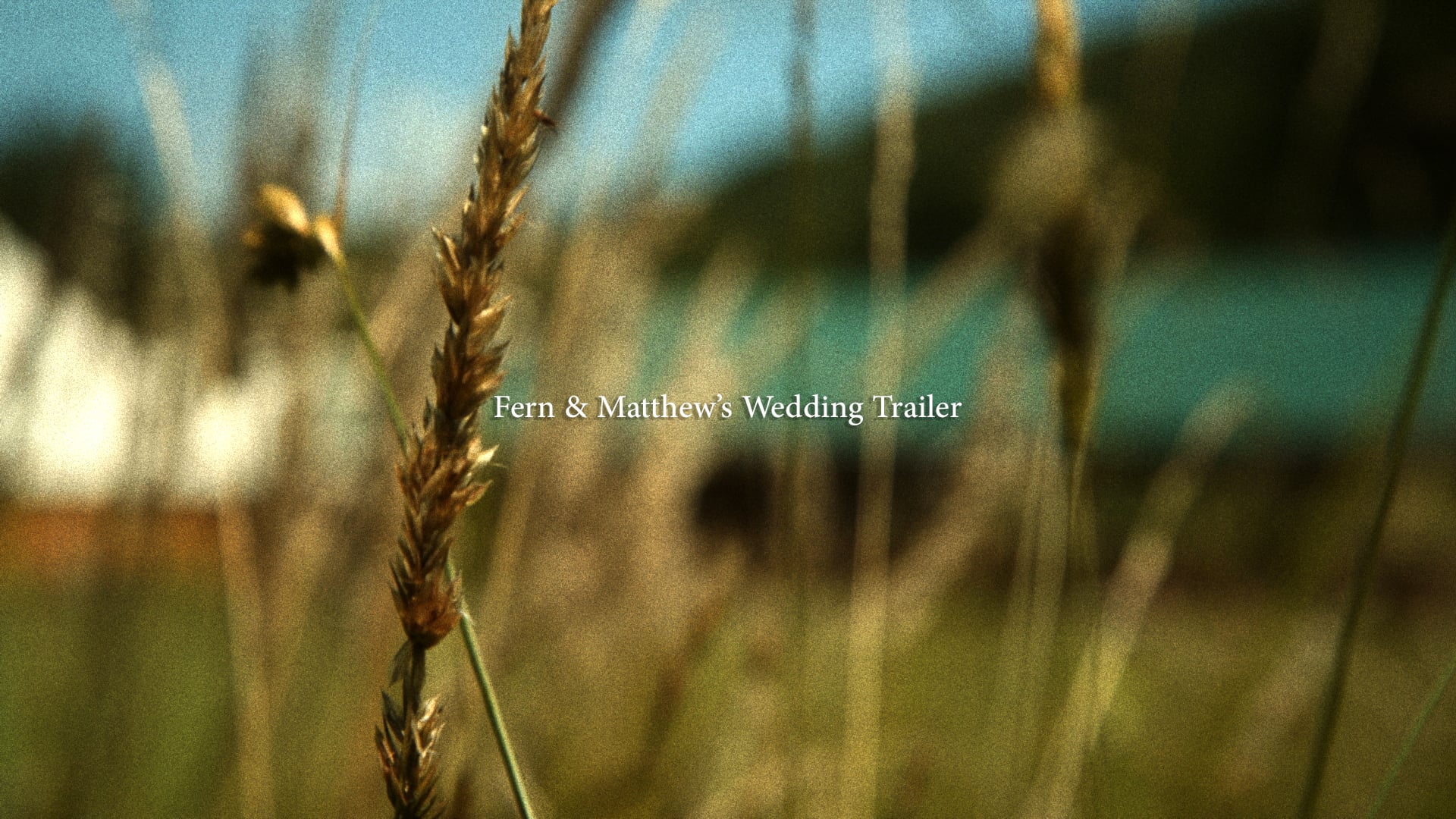 Fern & Matt's Wedding Trailer