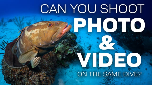 Can You Shoot Photo & Video On The Same Dive