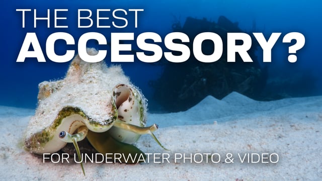 What Is The Best Accessory