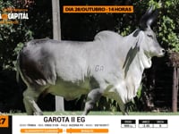 Lote 27