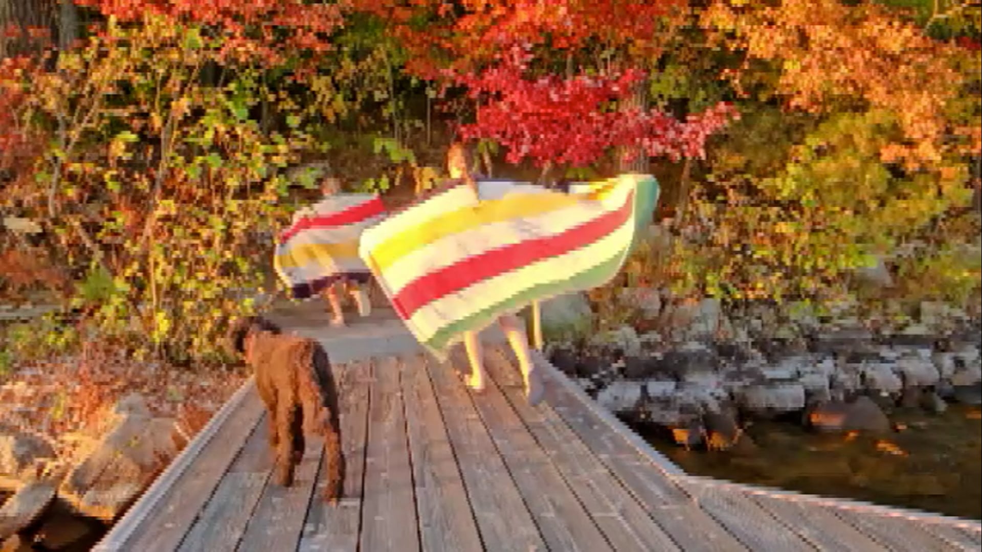 Fox Point Lake of Bays