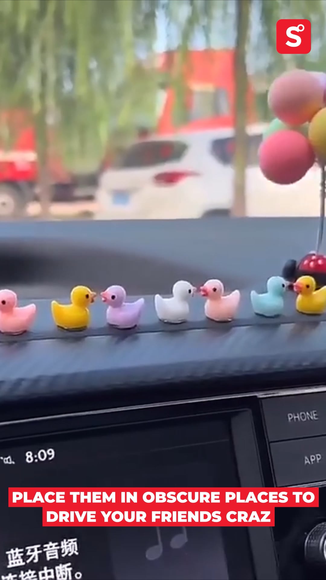 finding tiny toy ducks prank｜TikTok Search